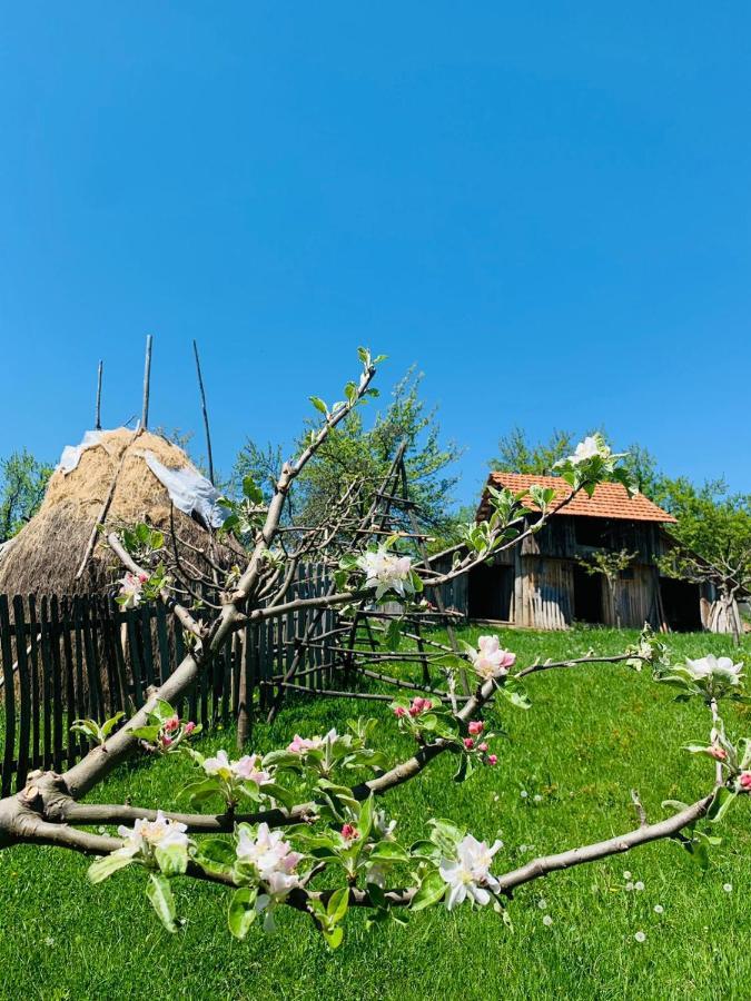 ホテル The Story Garden Corbi エクステリア 写真